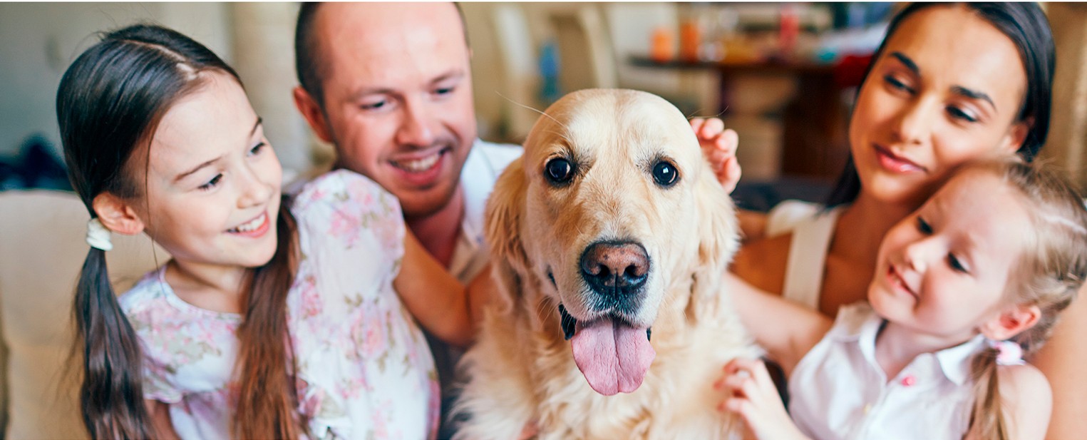 Beneficios para mascotas de universales